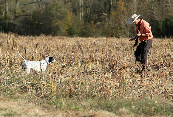 Field trial 042