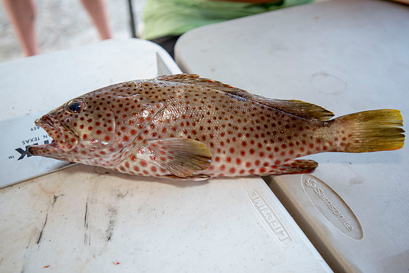 CHS fishing rodeo 2018 140