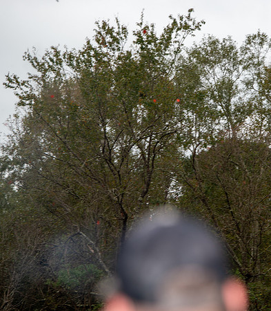 2020 Sporting clays 073