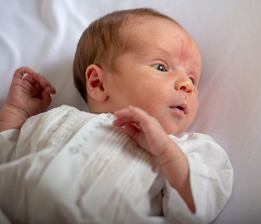 Conrad newborn 133