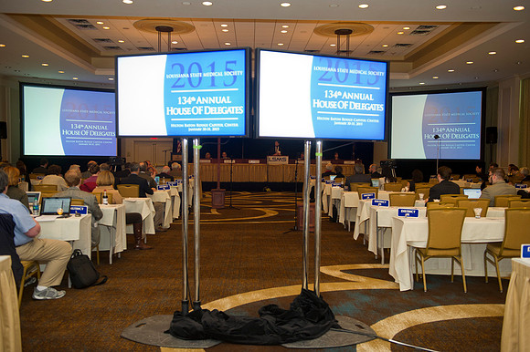 LSMS 2015 215