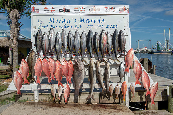CHS fishing rodeo 2019 240