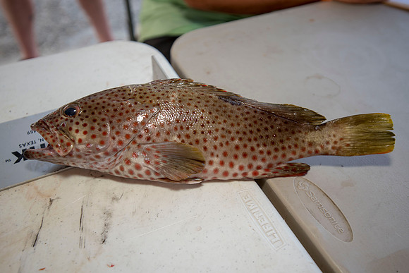 CHS fishing rodeo 2018 143