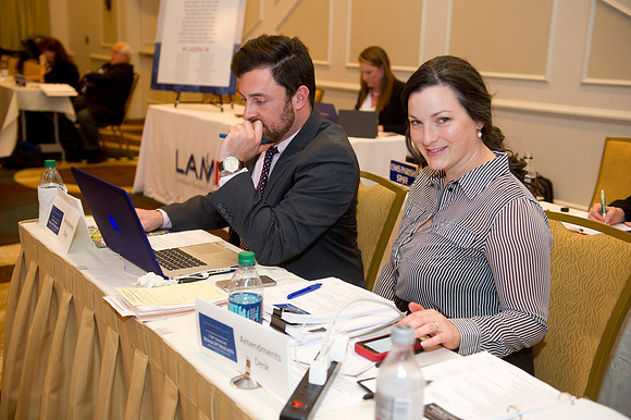 LSMS 2015 211