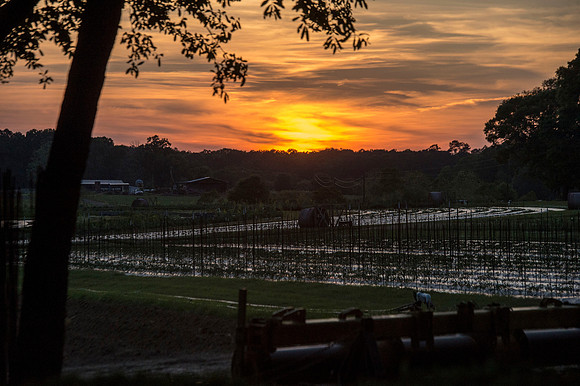 CCA sporting clays 029