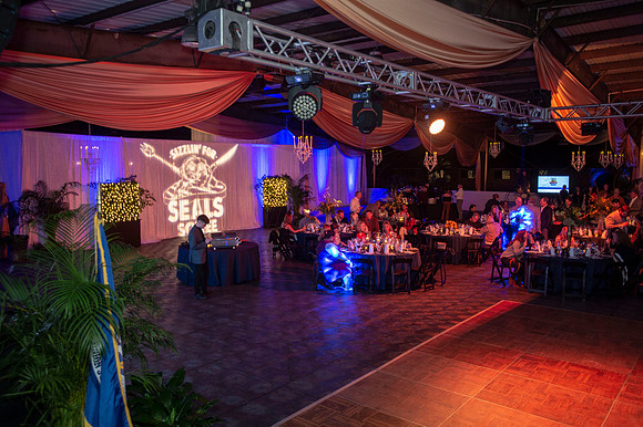 SEALS  252