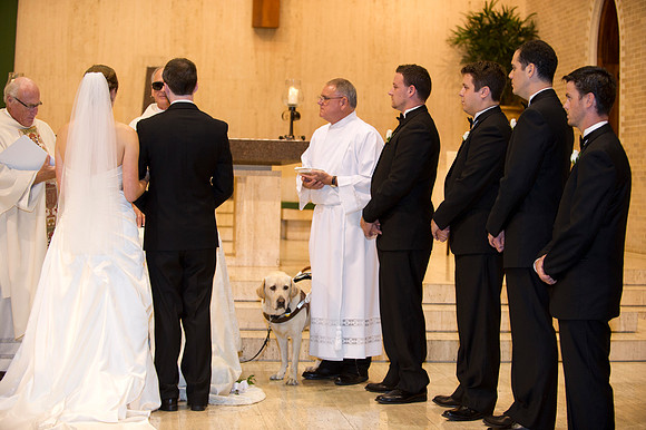 Ellen & Tim wedding 312