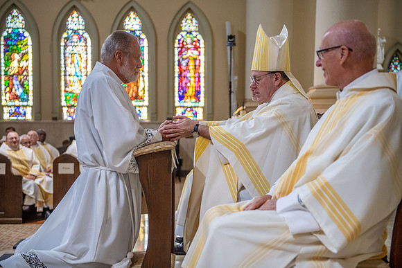 diaconate ordination 246