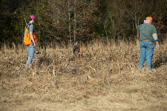 Field trial 029