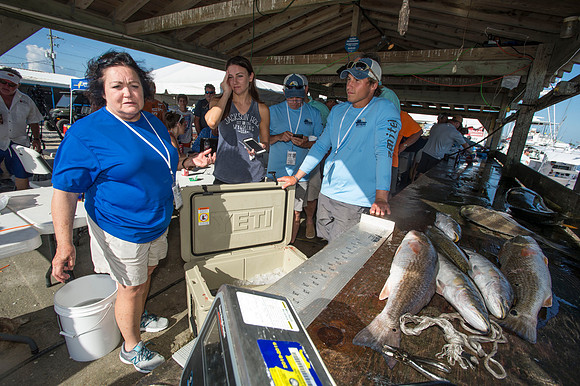 FOR Saturday 811