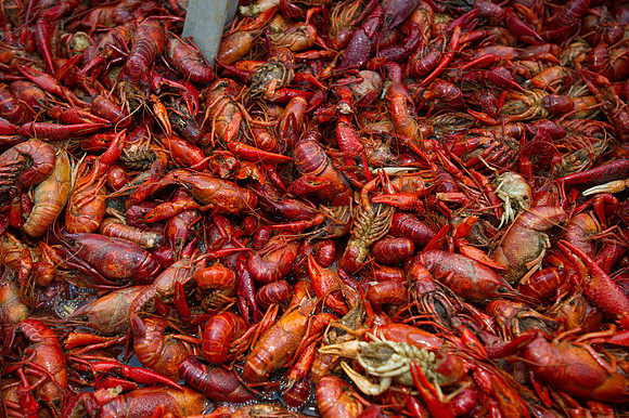 Seafood gala 034
