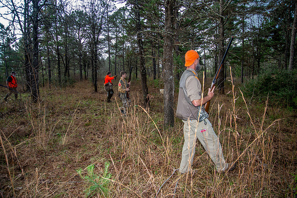 Parnell quail hunt 027