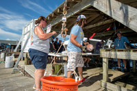 AA4-DRJ-UKP