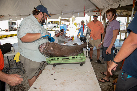 CHS fishing rodeo 2019 250