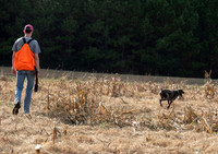 Field trial 017