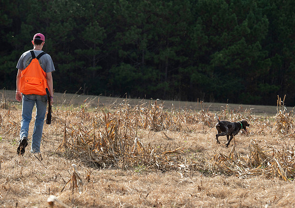 Field trial 017