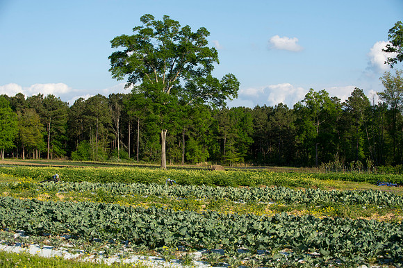 CCA 2014 Sporting Clays 077