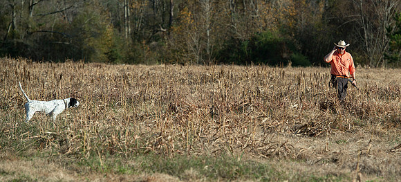 Field trial 041
