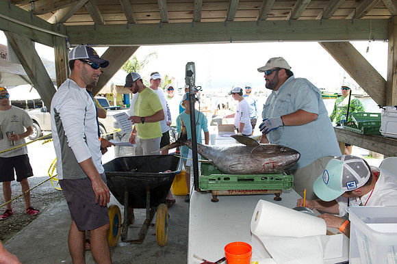 2016 CHS alumni Fishing rodeo 196