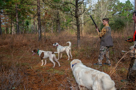 Parnell quail hunt 012