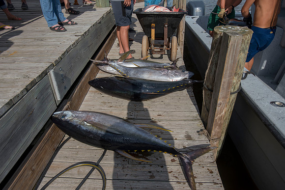 CHS fishing rodeo 2018 285