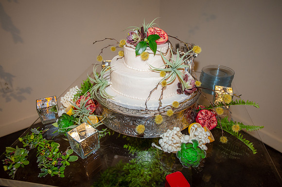 Stacey & Michael 164