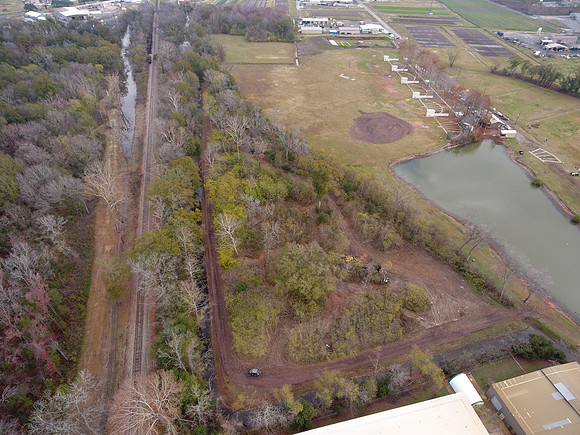 Bridgeview woods 001