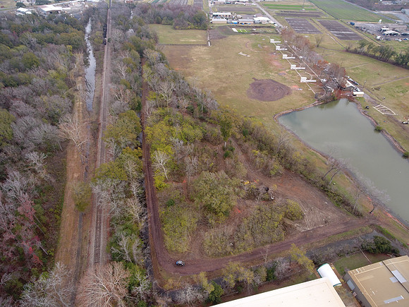 Bridgeview woods 002