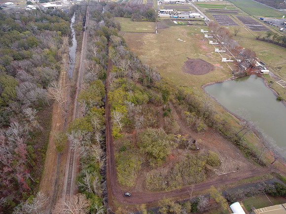 Bridgeview woods 006