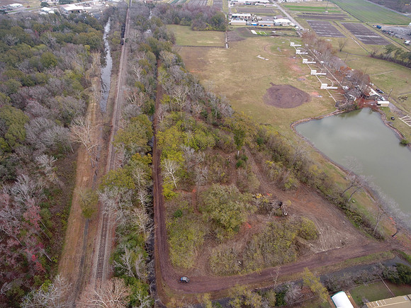 Bridgeview woods 007