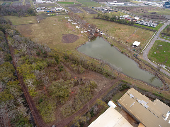 Bridgeview woods 010