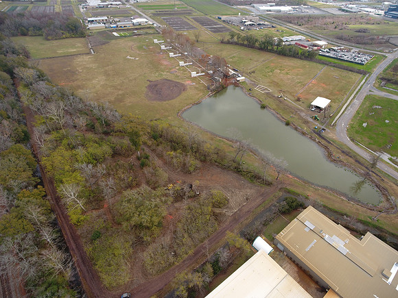 Bridgeview woods 011