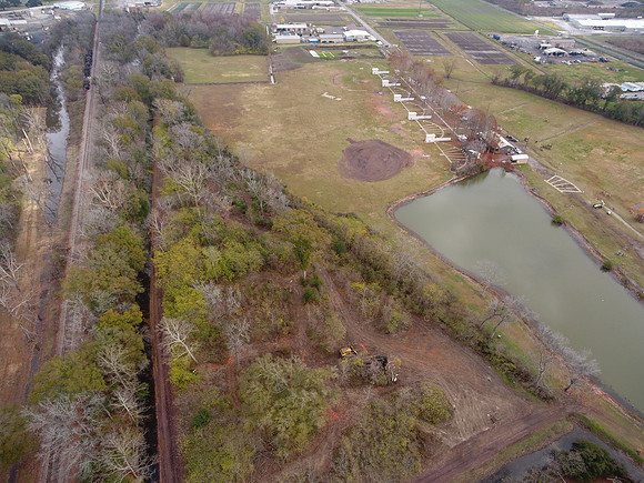 Bridgeview woods 012
