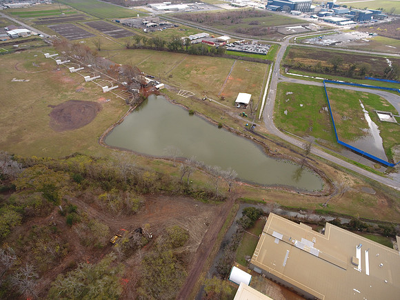Bridgeview woods 015