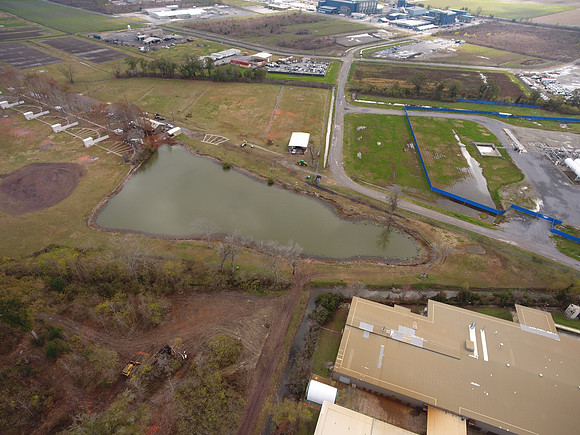 Bridgeview woods 013