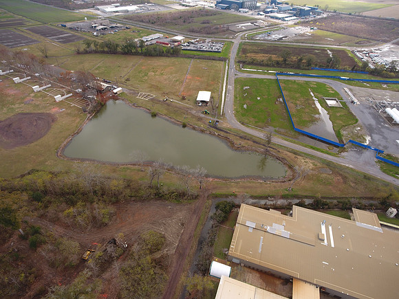 Bridgeview woods 014