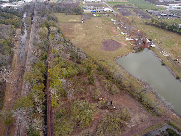Bridgeview woods 017