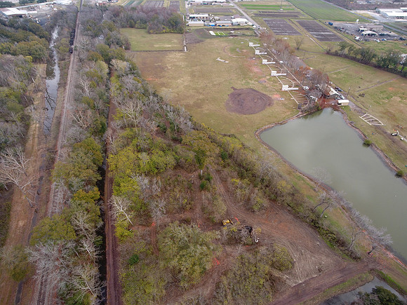 Bridgeview woods 018