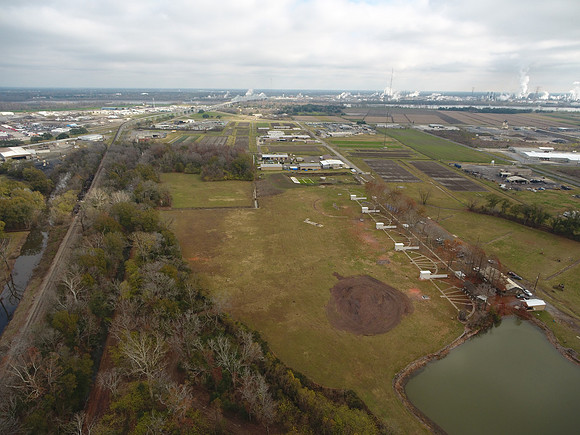 Bridgeview woods 020