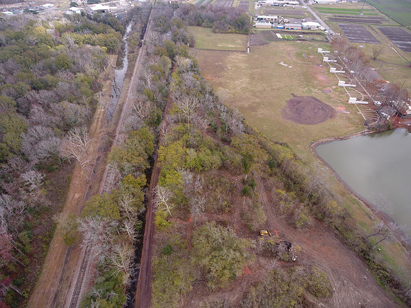 Bridgeview woods 019