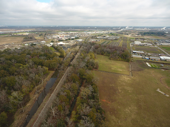 Bridgeview woods 023