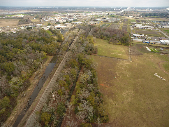 Bridgeview woods 024