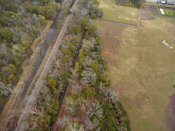 Bridgeview woods 026