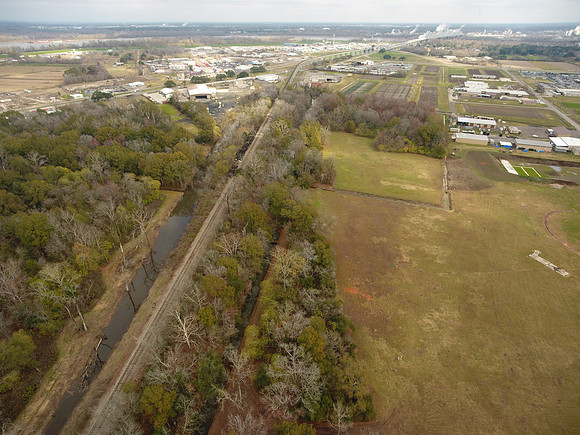 Bridgeview woods 025