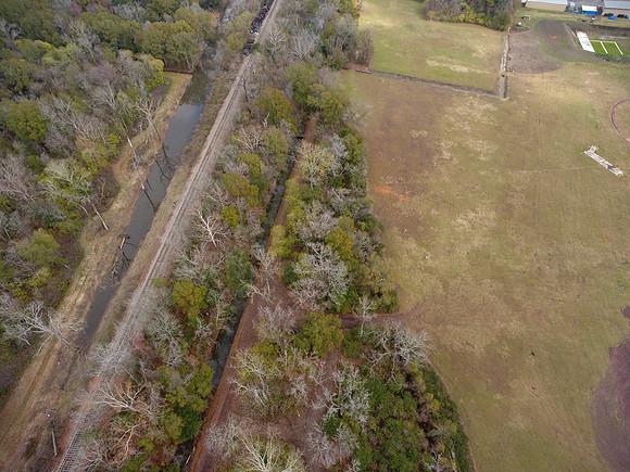 Bridgeview woods 027
