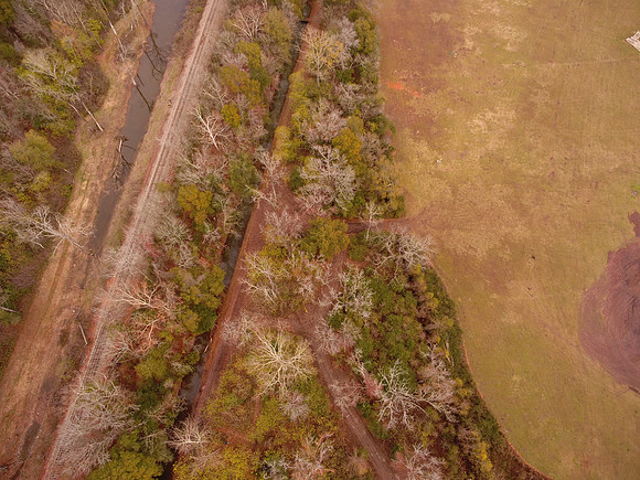 Bridgeview woods 028