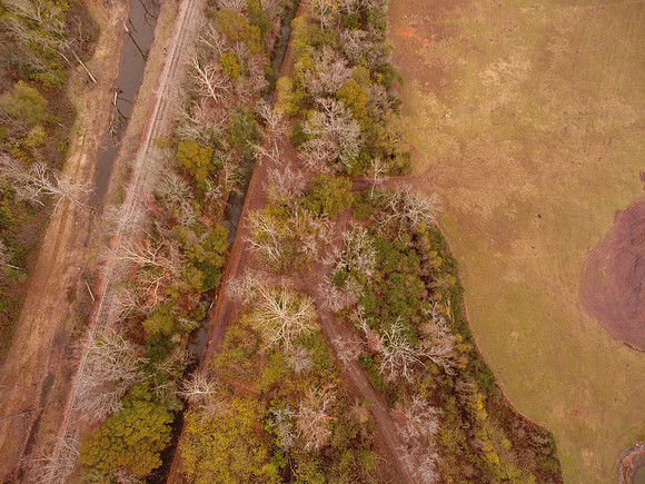 Bridgeview woods 029