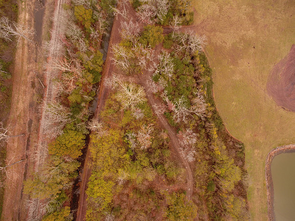 Bridgeview woods 031