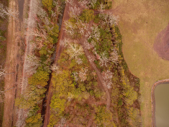 Bridgeview woods 032