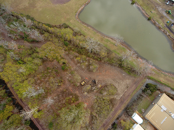 Bridgeview woods 033